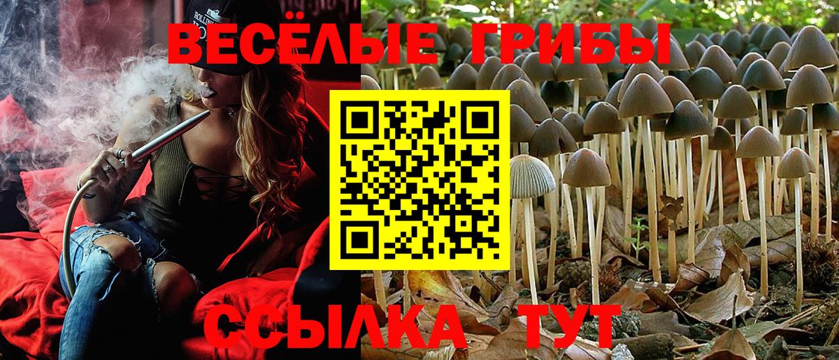 Трёхгорный  Галлюциногенные грибы прущие грибы  Вход с VPN 