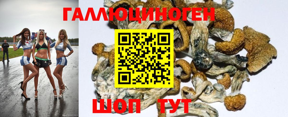 Галлюциногенные грибы Psilocybine cubensis Трёхгорный